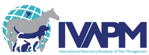 IVAPM